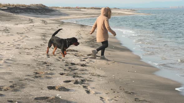A Girl in a Jacket Runs and Fools Around on the Beach By the Sea with a Rottweiler Dog