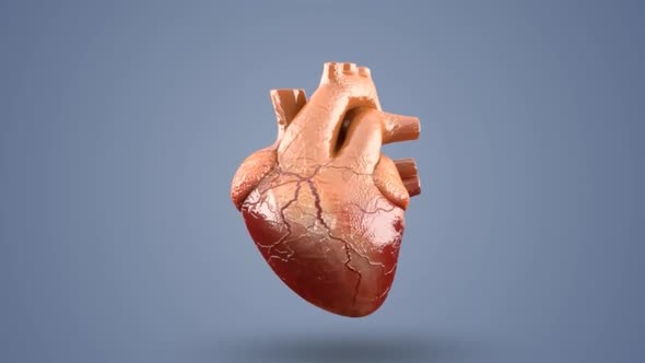 heartbeat medical 3d medical illustration