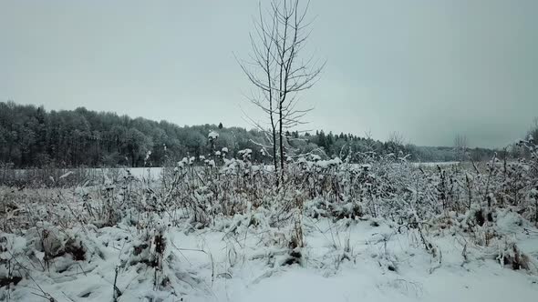 Winter River In The Village Of Verkhovye 19