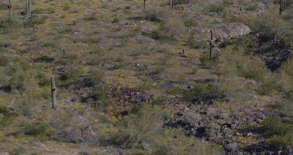 South Mountain Park Preserve in Arizona