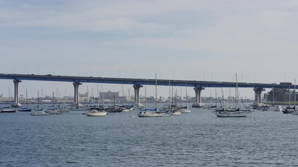 Anchored boats near Coronado Bridge