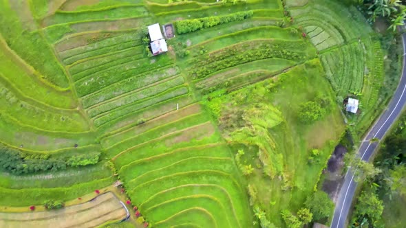 Jatiluwih Tabanan Bali Aerial View