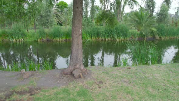 Pull-right to left above land with view to lake in middle of trees in natural area in Mexico City, w