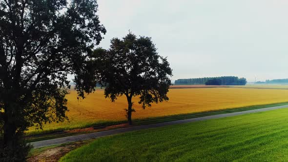 Aerial view of field in countryside