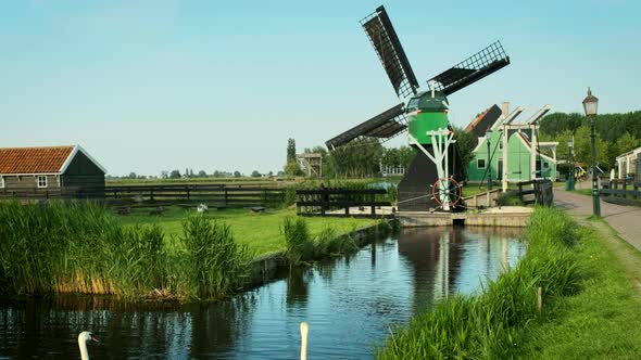 Swans in Canal at Windmills at Zaanse Schans in Holland. Zaandam, Netherlands