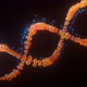 Dna V2 - VideoHive Item for Sale