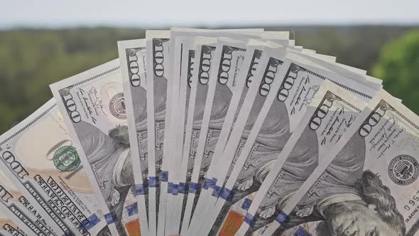 Male Hands Show New Dollar Bills Like a Fan on Backdrop of Green Nature