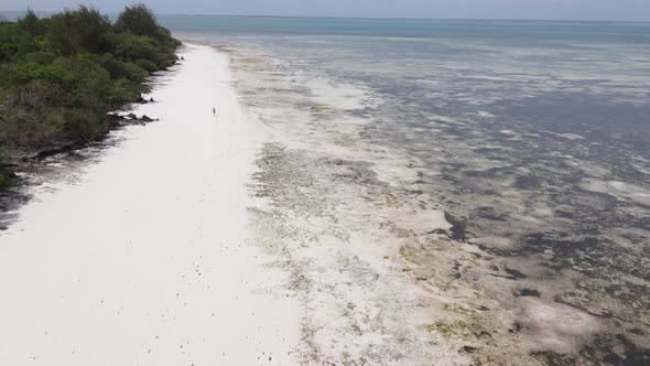 Lonely Woman Walking on the Beach at Low Tide Low Tide in Zanzibar Slow Motion