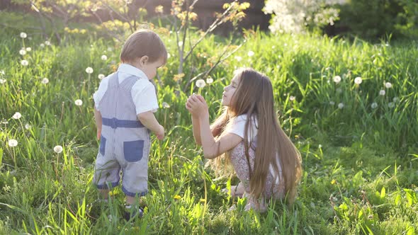 Brother and Sister Have Fun Playing with Blooming White Yellow and Fluffy Dandelions in a Warm