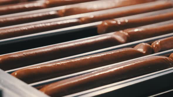 Hotdog Sausages Being Cooked on Grill on at Street Food Festival at Night.