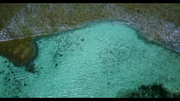 Aerial flying over panorama of exotic lagoon beach wildlife by clear lagoon and bright sand backgrou