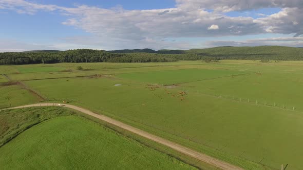 aerial reindeer farm aproach and descend 4k