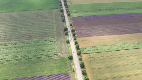 Aerial view of fields with various types of agriculture