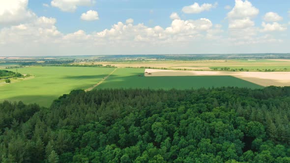 Landscape View on the Colorful Fields and Forests Harvesting Season Film Grain