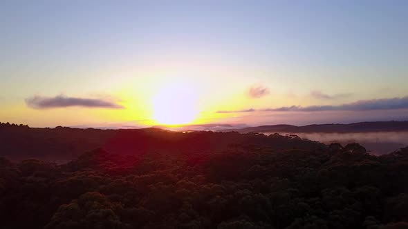 Drone footage flying directly toward spectacular sunrise over dense forest covered in broken fog.