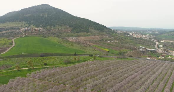 Aerial View of field of cherry trees, Ein Harod, Northern District, Israel.