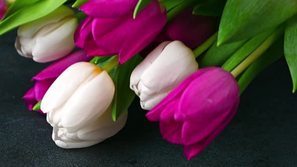 Bouquet of tulips on dark background. concept of spring and womens day, Mothers day, 8 March