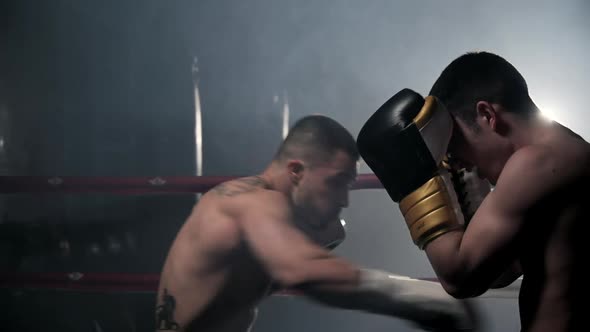 Two Muscular Mixed Martial Arts Athletes Fighting in the Ring