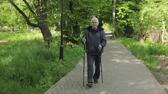 Active Senior Old Man Training Nordic Walking with Ski Trekking Poles in Park