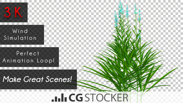 Blue Flower Plant alt