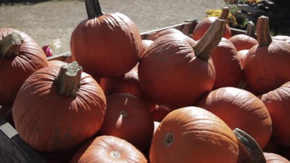 Fall pumpkins on an antique wooden wagon
