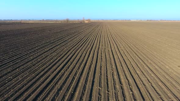 Plowed Field