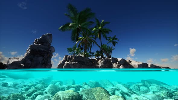 Split View Cross Section of Sea Water and Palm Trees on Island