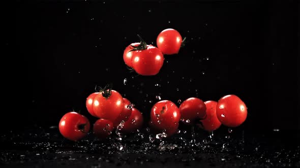 Fresh Tomatoes with Drops of Water Rise and Fall
