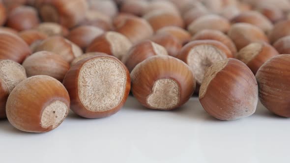 Corylus avellana organic nuts close-up 4K 2160p 30fps UltraHD tilting footage - Whole hazelnuts on w