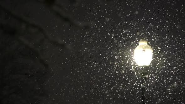 Snow falling lit up by street light at night during storm