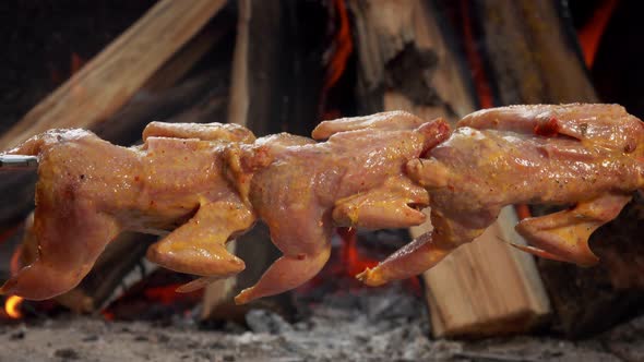 Closeup of the Raw Quails on the Skewer Placed on the Background the Open Fire