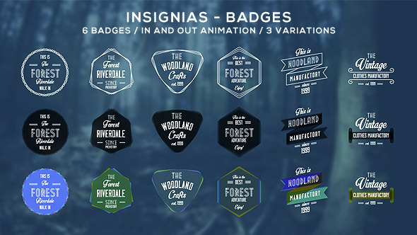 Insignias - Badges alt