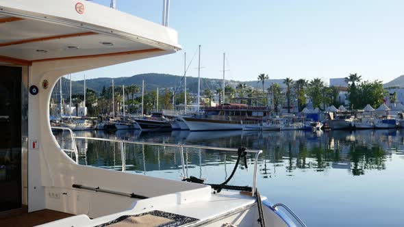 Yacht Is in the Port of a Tropical City Against the Backdrop of Palm Trees