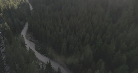 Aerial fly forward showing forest and winding dirt path pan up to reveal bright sun and sun rays pea