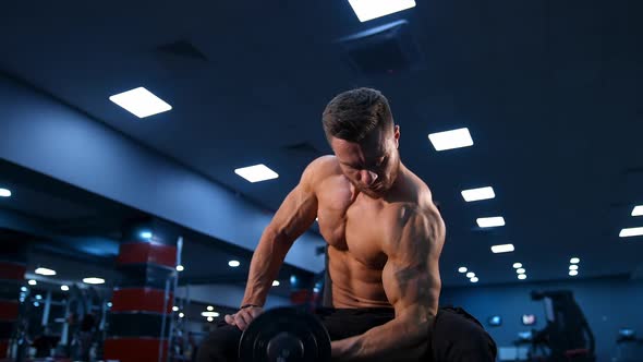Fit muscular man exercising with dumbbell. 