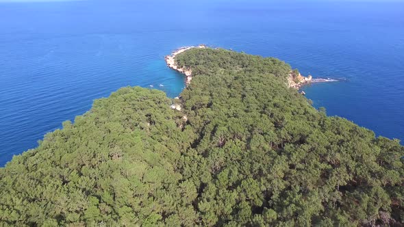 A Real Headland Cape Covered With Untouched Natural Pine Forest