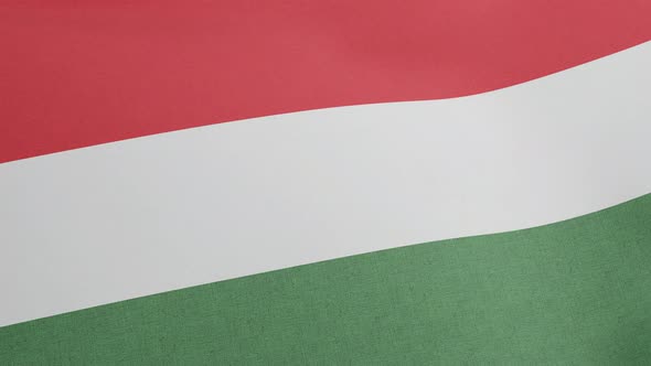 National Flag of Hungary Waving Original Size and Colors 3D Render Magyarorszag Zaszlaja is Official