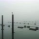 Fishing nets and wooden posts in sea, Vrouwenpolder, Netherlands - VideoHive Item for Sale