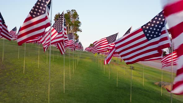 Aerial Footage of the National Symbols Rows Along Green Lush Meadow