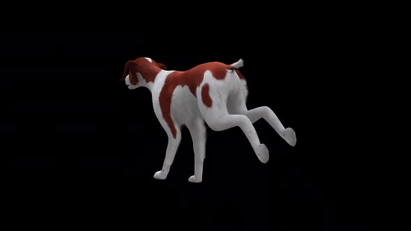 Brittany Dog Run Back Side View