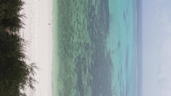 Vertical Video Boats in the Ocean Near the Coast of Zanzibar Tanzania Aerial View