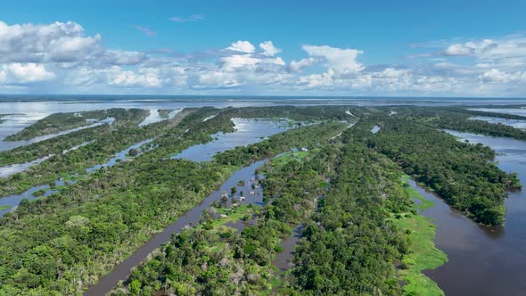 Stunning landscape of Amazon Forest at Amazonas State Brazil.