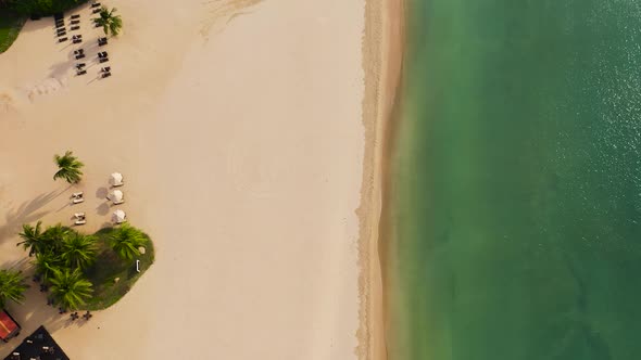 A Tropical Beach with Palm Trees and a Blue Ocean