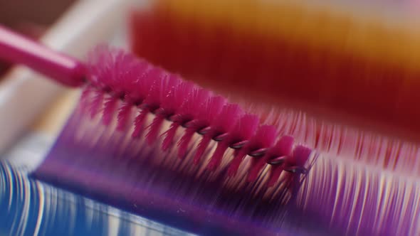 Close Up on Beautiful Color Samples Tabs Eyelashes