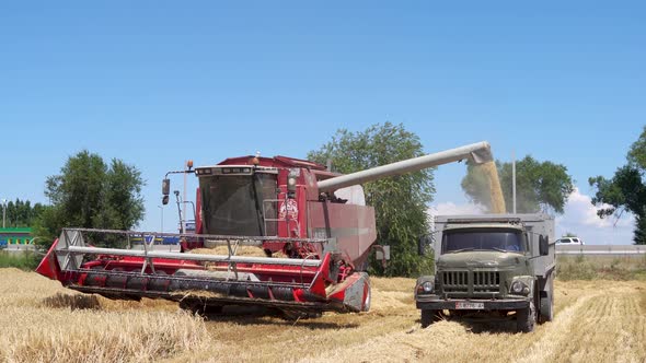 Combine Harvester Unloading Wheat Grain Into The Truck