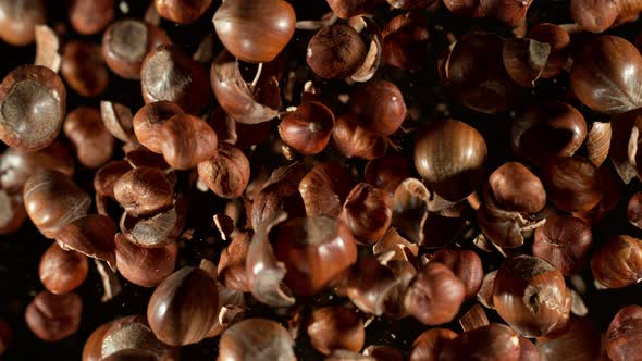Super Slow Motion Shot of Flying Hazelnuts and Nut Shells Towards Camera on Black at 1000Fps
