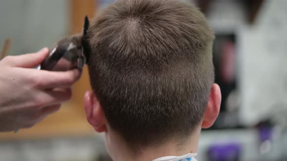 Young Man's Haircut in Barbershop