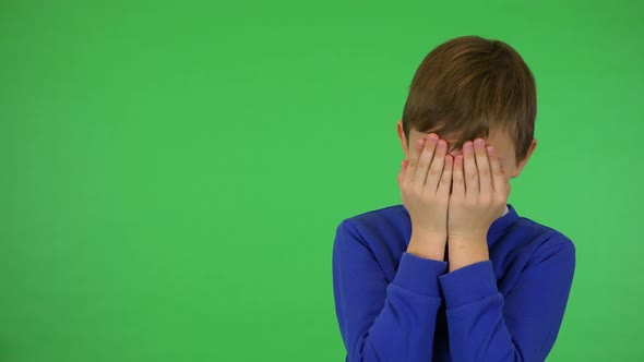 A Young Cute Boy Cries with Face in His Palms - Green Screen Studio