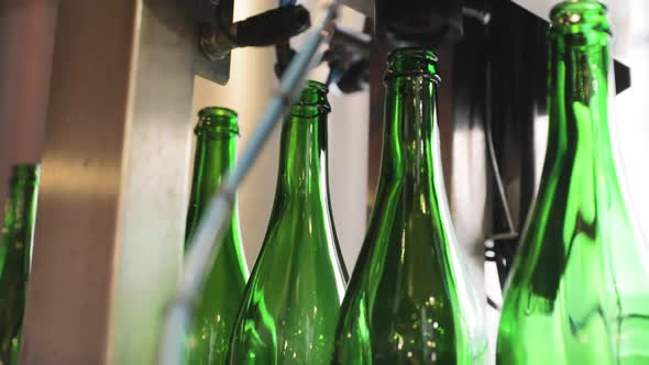 Beer Manufacturing. Conveyor Line With Bottles, Disinfection