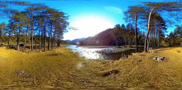 360 VR Virtual Reality of a Wild Mountains, Pine Forest and River Flows. National Park, Meadow and